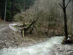 Bílé Karpaty, Zápechová