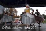 Folklorní festival Polabská Vonička
