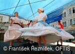Mezinárodní folklorní festival Folklor bez hranic