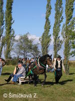 soutěž v tahu těžkých koní