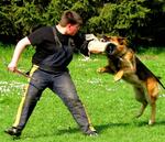 Kynologický klub Skotnice