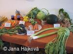 Výstava ovoce, zeleniny a květin